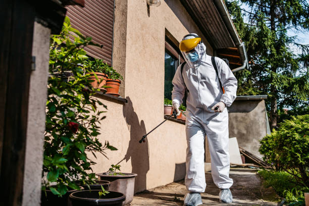 Best Cockroach Control Services  in Salmon Brook, CT