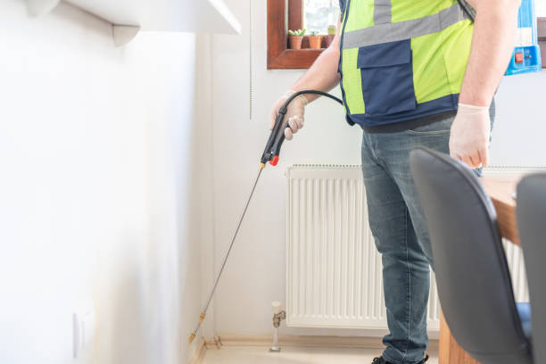 Best Bed Bug Extermination  in Salmon Brook, CT