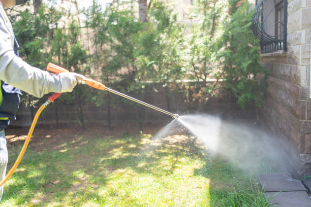 Best Pest Inspection Near Me  in Salmon Brook, CT