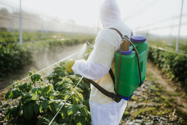 Best Mosquito Control Services  in Salmon Brook, CT